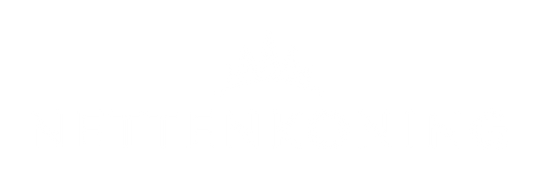 Nettenkoning